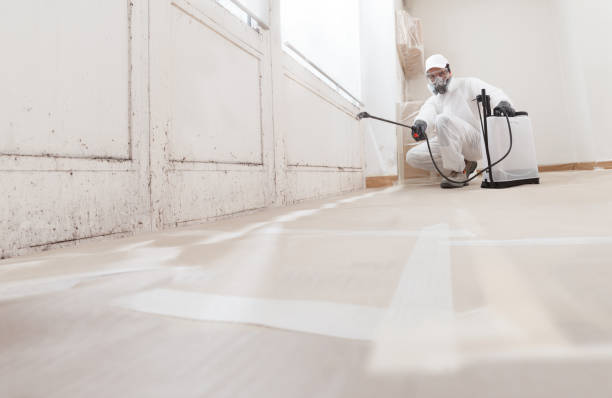 Black mold remediation team in Berkeley Heights